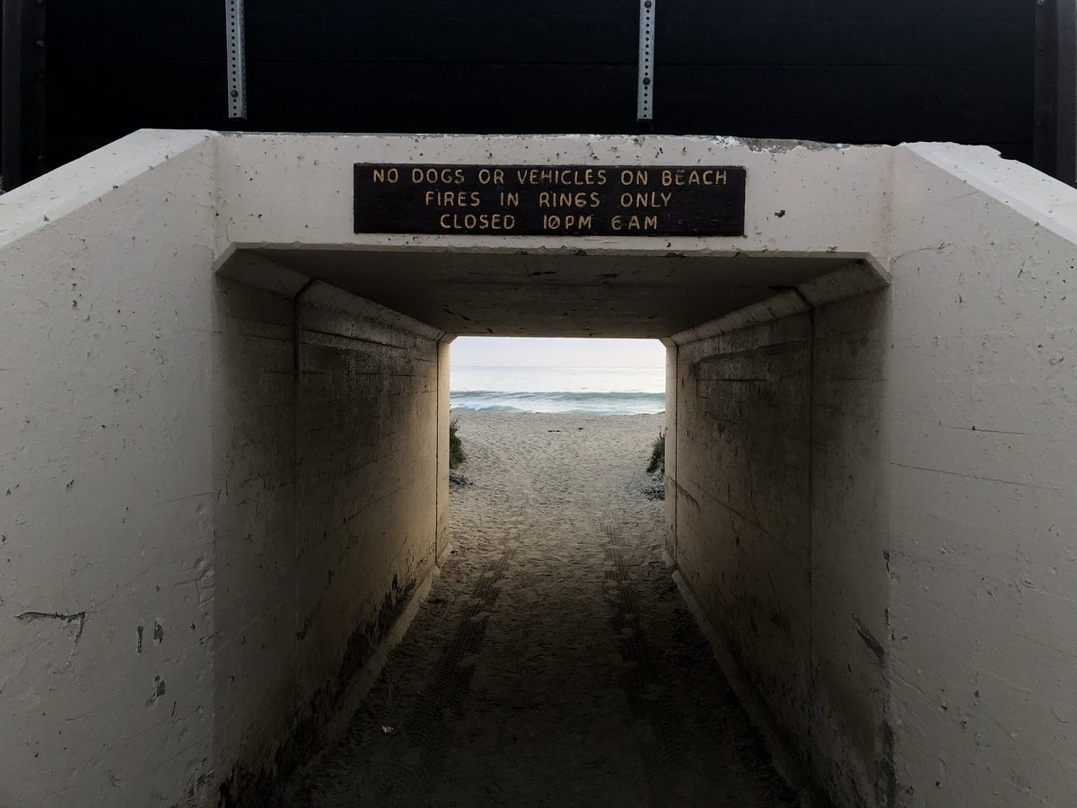San Clemente dog ban lift: good for people, or bad for the environment?